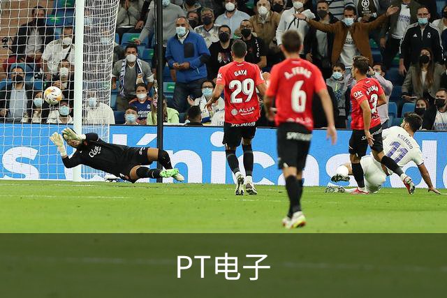 PT电子
